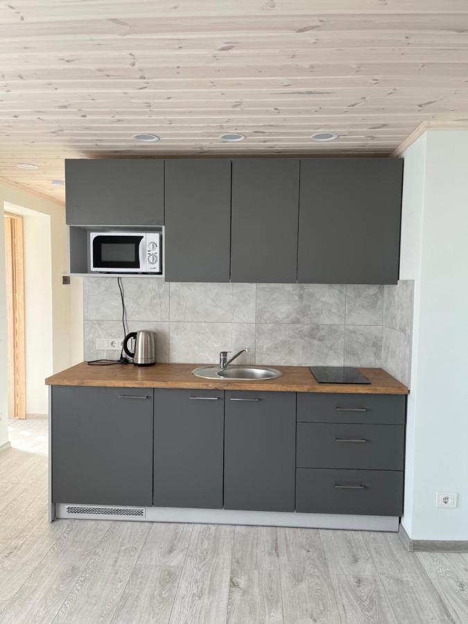 Ska Anyksciai Apartment Ngoại thất bức ảnh